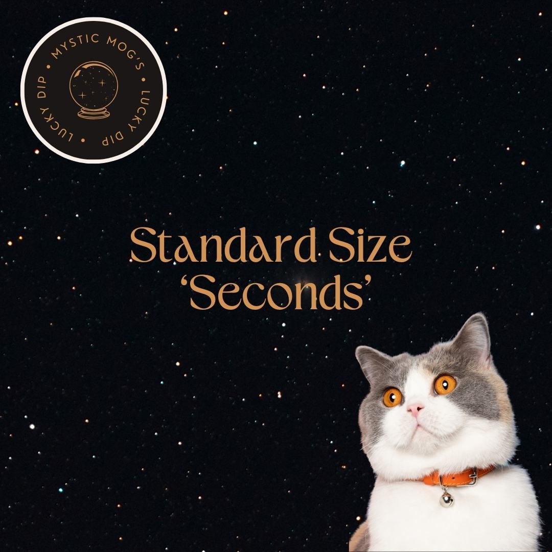 Adult (Standard Size) Mystery Collar Lucky Dip!