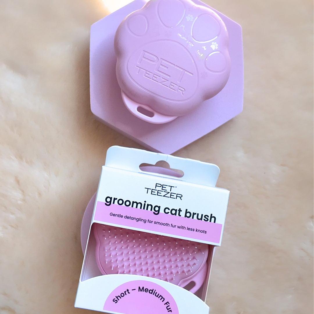 Cat detangler brush outlet
