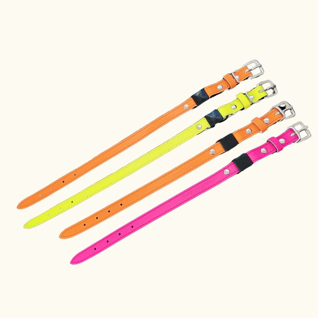 (SECONDS) Reflective Collars