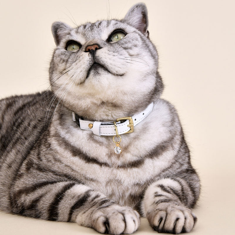 Cheshire Wain White Rabbit Luxury Safety Cat Collar