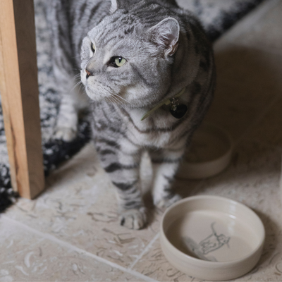 Hand-Painted Stoneware Food Dish - Cheshire & Wain x Kate Welton