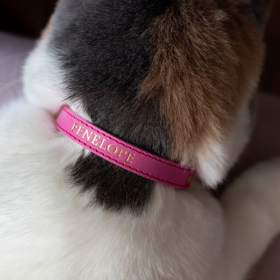 (SECONDS) Colour-Pop - Pink Cat Collar