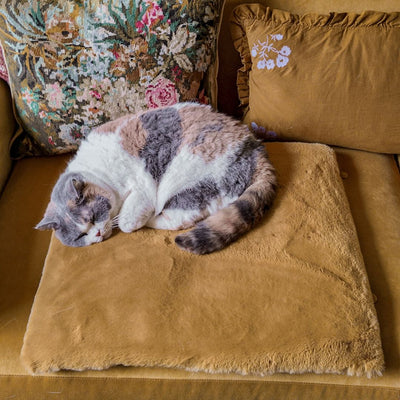 Cat Cloud® Bed - (Limited Edition) Saffron Yellow