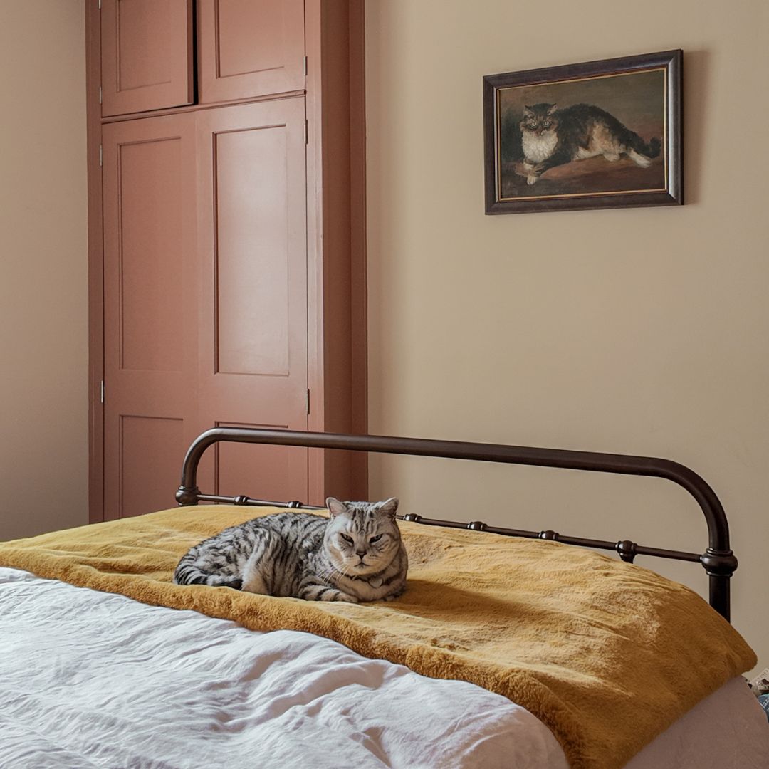 Cat Cloud® Throw - (Limited Edition) Saffron