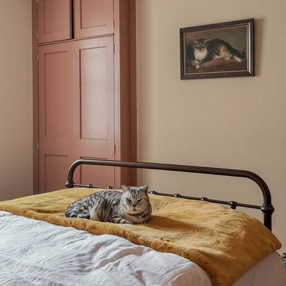Cat Cloud® Throw - (Limited Edition) Saffron