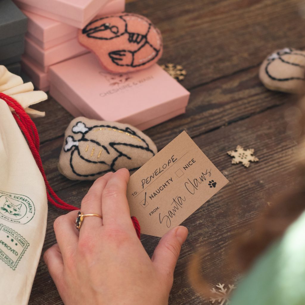 Santa Claws' Catmas Gift Bag