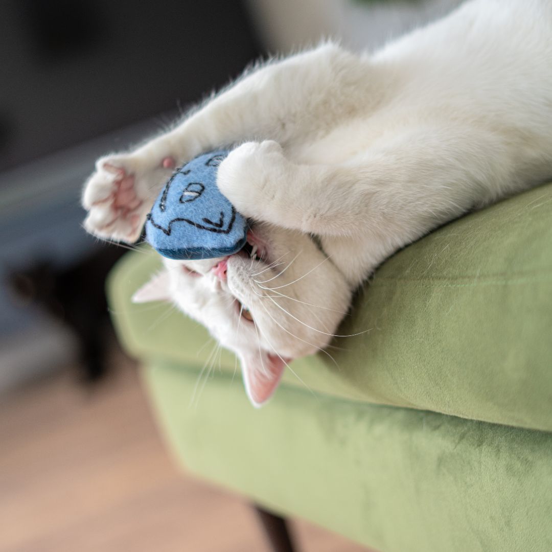 Cheshire cat plush toy deals