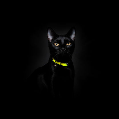 Neon Yellow - Reflective Cat Collar