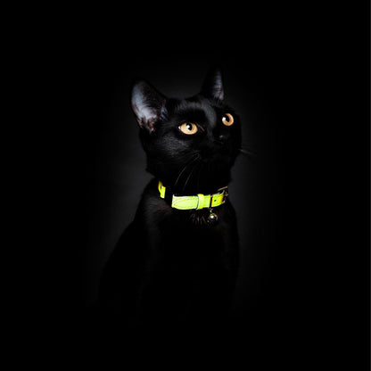 Neon Yellow - Reflective Cat Collar