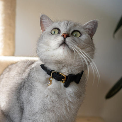 Wonderland - Jabberwocky Black Cat Collar