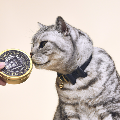 Wonderland - Jabberwocky Black Cat Collar