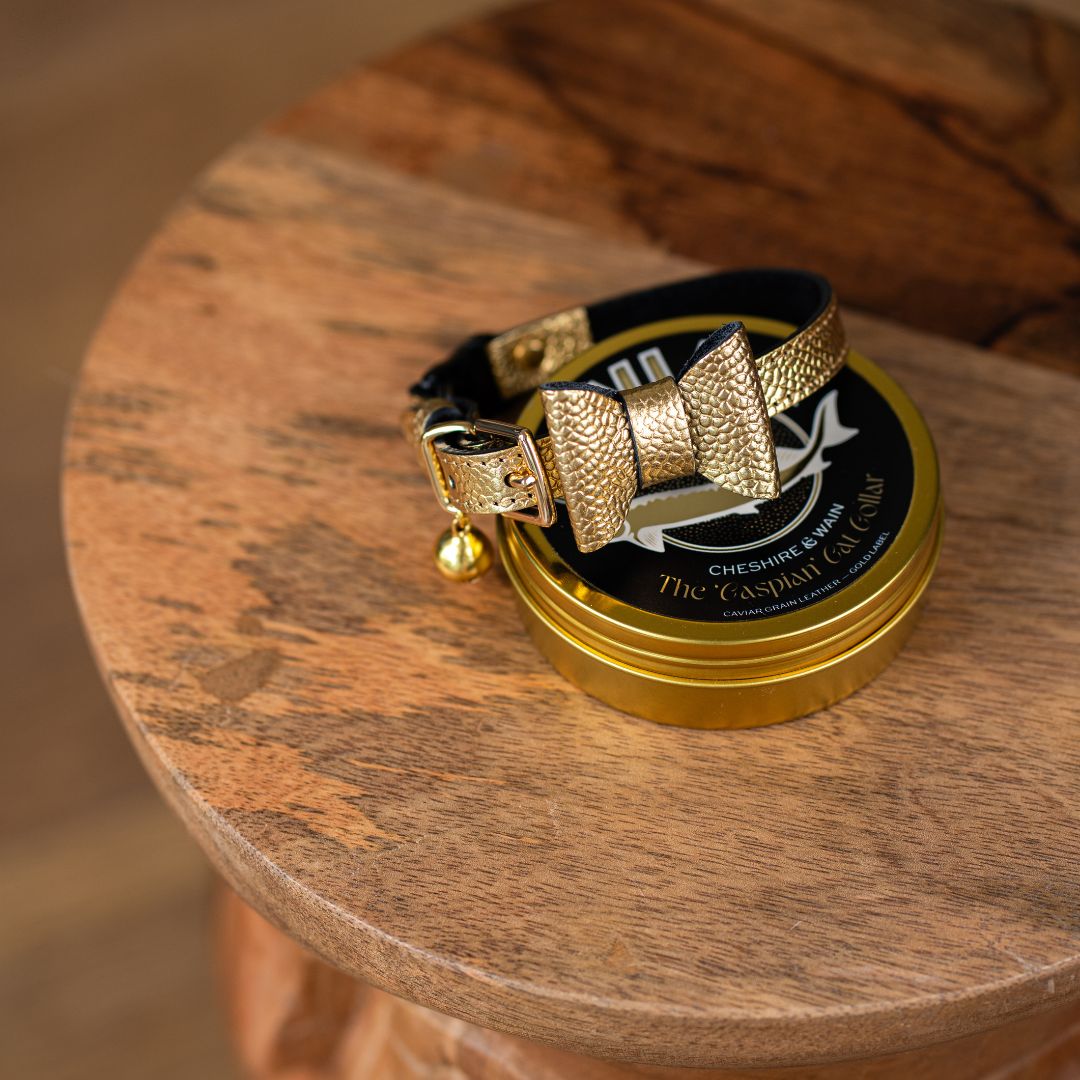 The 'Caspian' Caviar Cat Collar - Gold Label