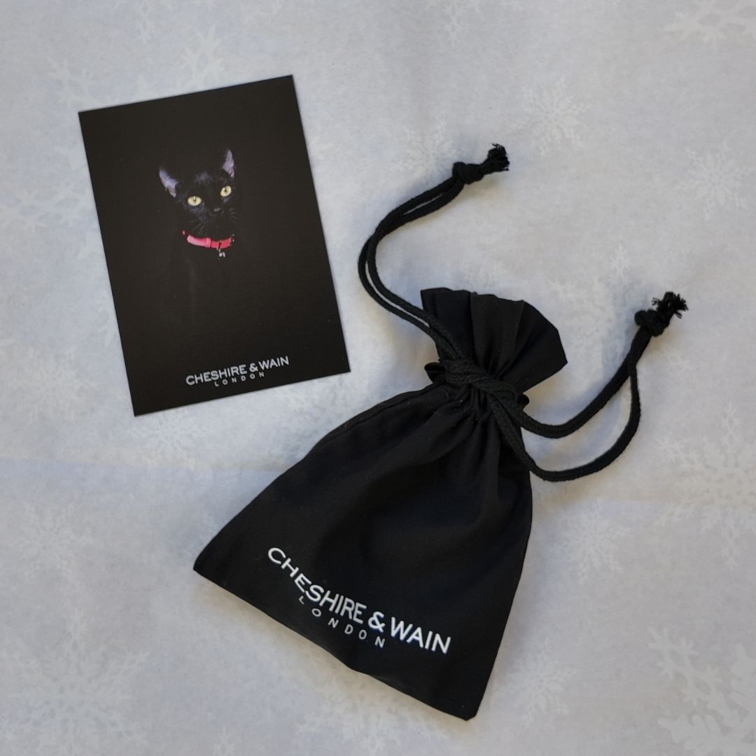 (SECONDS) Reflective Collars