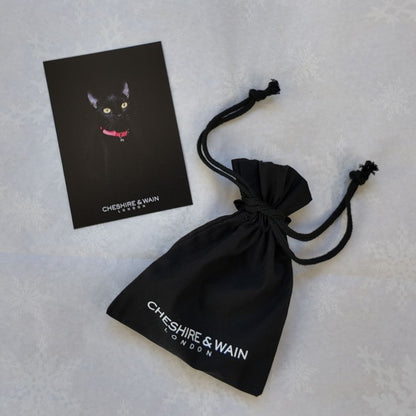 (SECONDS) Reflective Collars