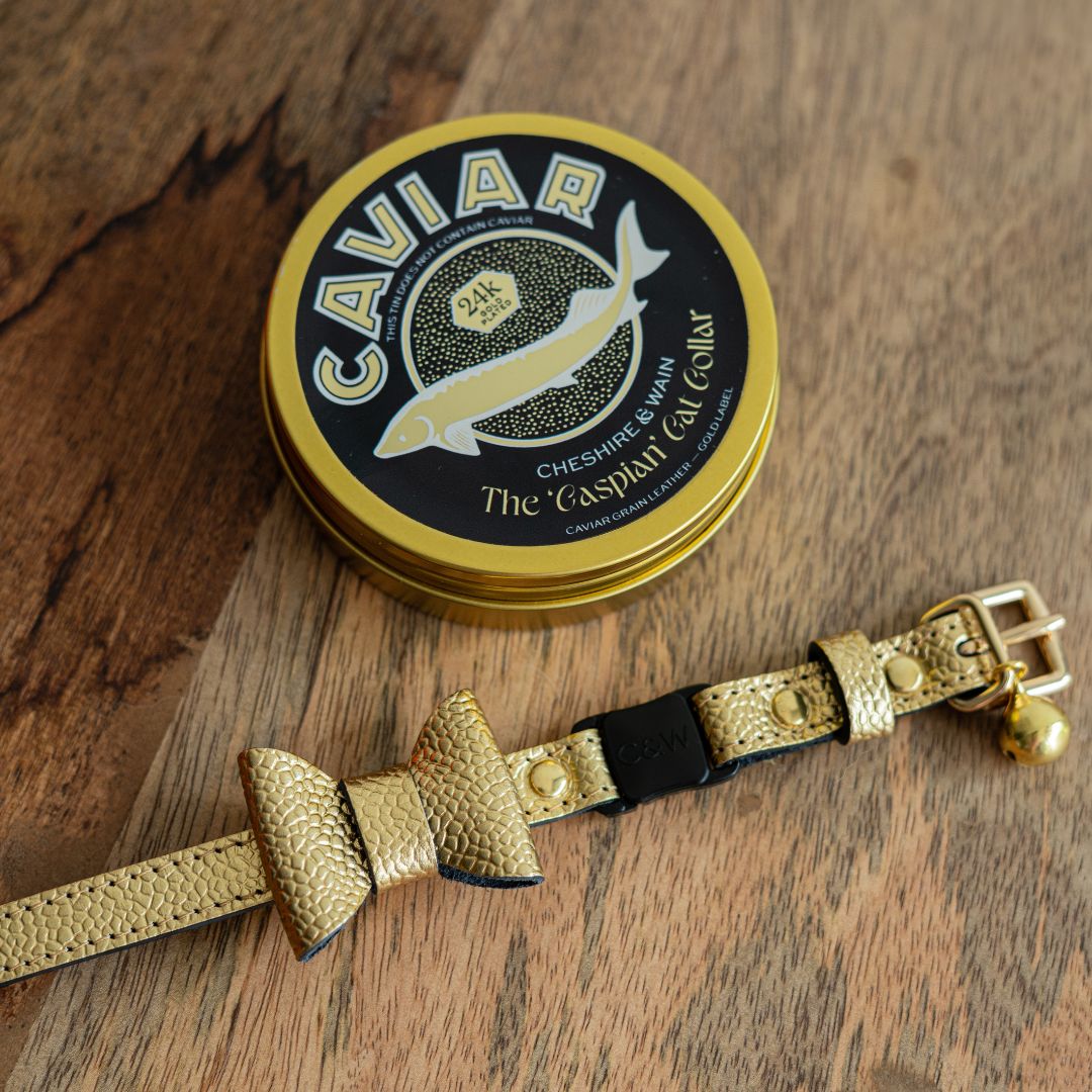 The 'Caspian' Caviar Cat Collar - Gold Label