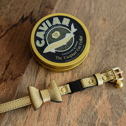 The 'Caspian' Caviar Cat Collar - Gold Label