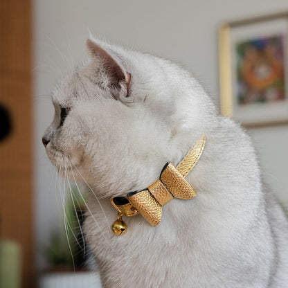 The 'Caspian' Caviar Cat Collar - Gold Label
