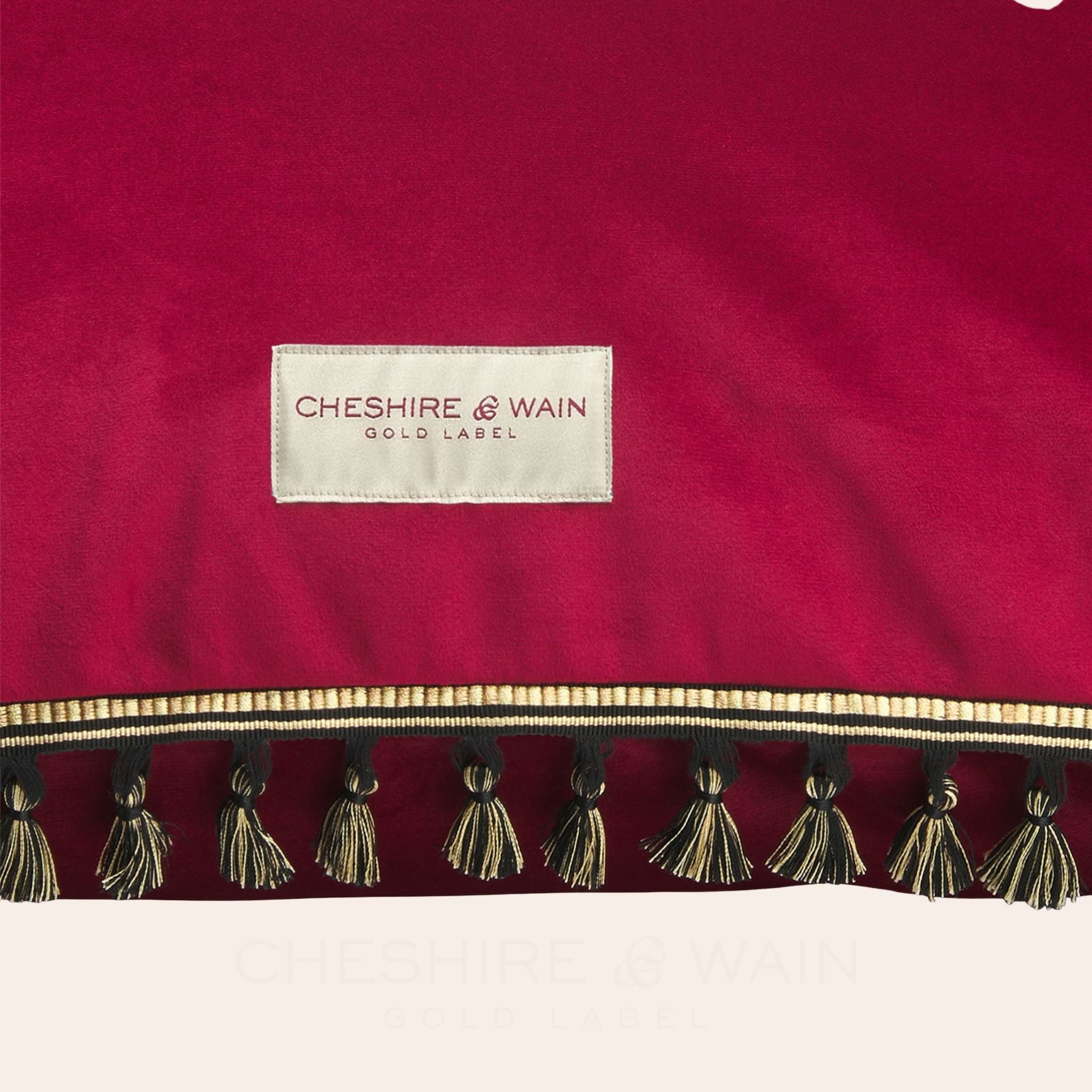 Tassel Trim Velvet Cat Cushion - Carmine
