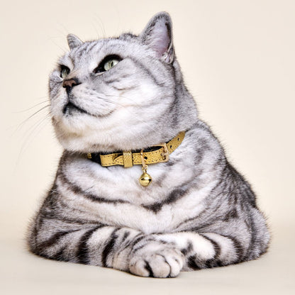 The 'Caspian' Caviar Cat Collar - Gold Label