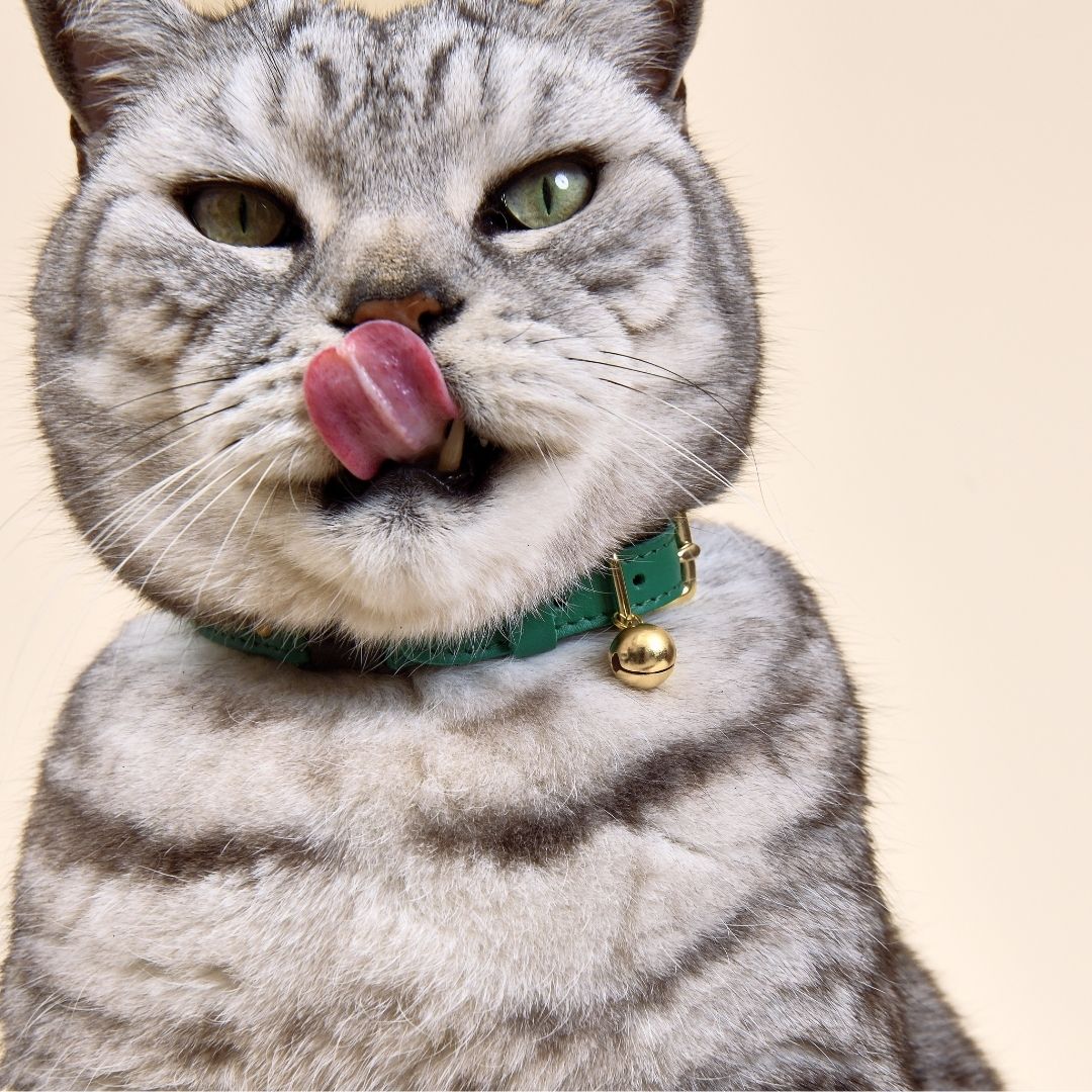 Cheshire & Wain - Mock Turtle Green Luxury Leather Cat Collar