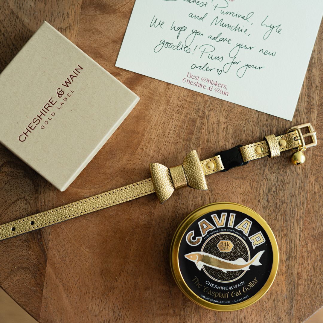 The 'Caspian' Caviar Cat Collar - Gold Label