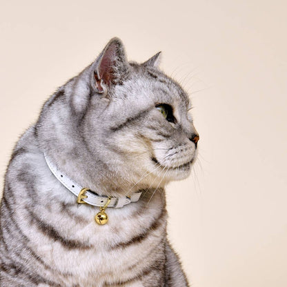 New Wonderland - White Rabbit Cat Collar