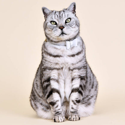 New Wonderland - White Rabbit Cat Collar