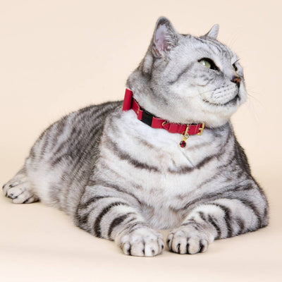 Wonderland - Jam Tart Red Cat Collar