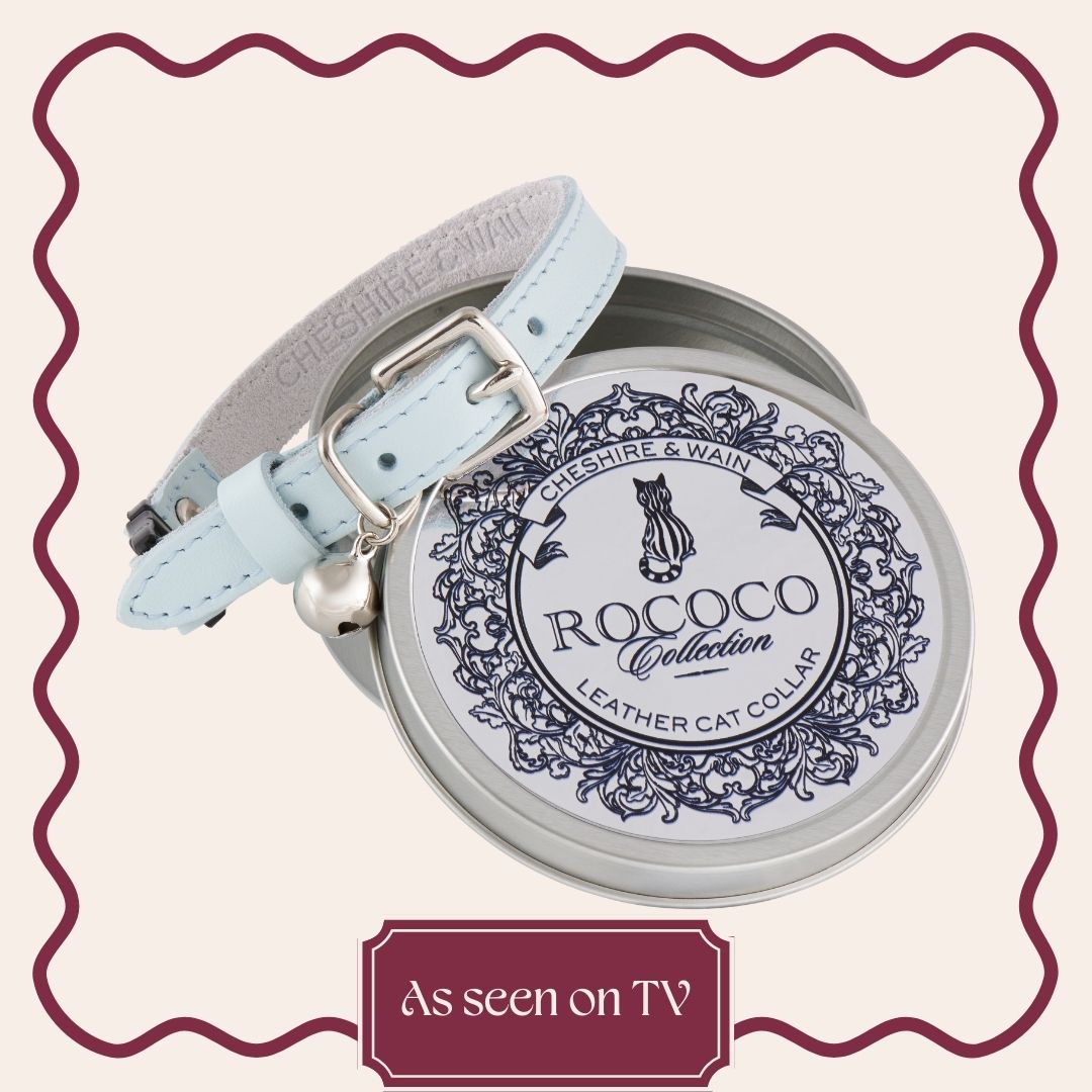 Rococo - Powder Blue Cat Collar