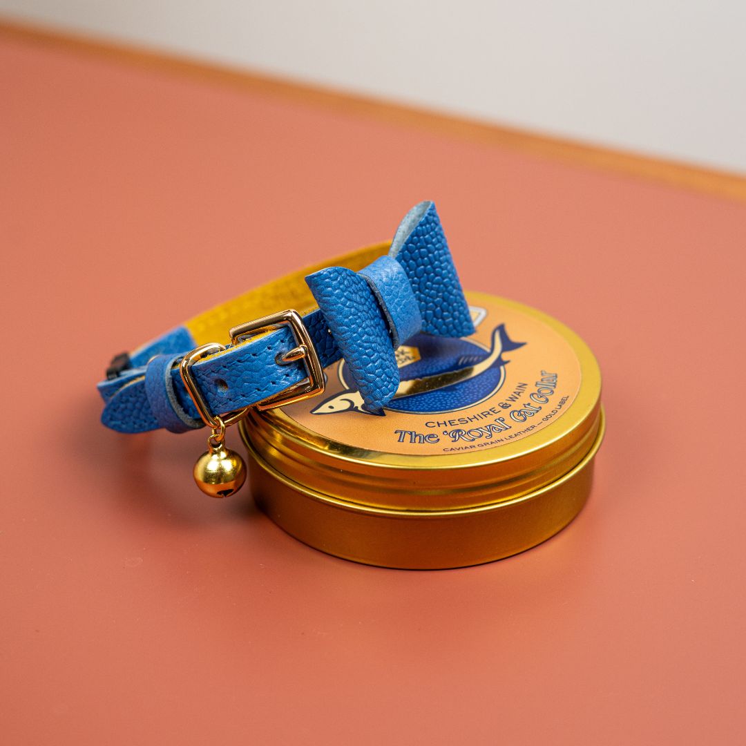The 'Royal' Caviar Cat Collar - Gold Label