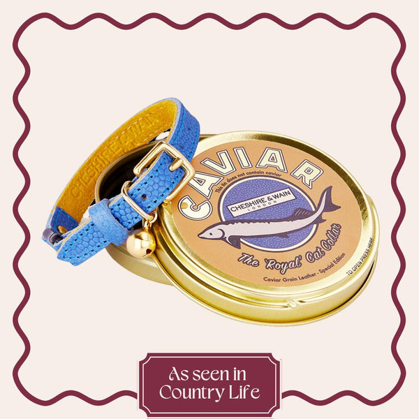 The Royal Caviar Cat Collar