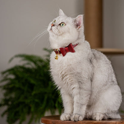 The 'Tsar' Caviar Cat Collar - Gold Label