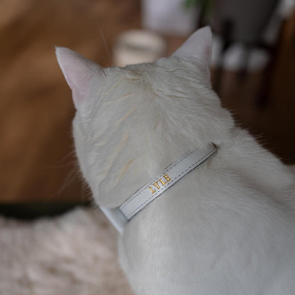 white leather cat collar with name