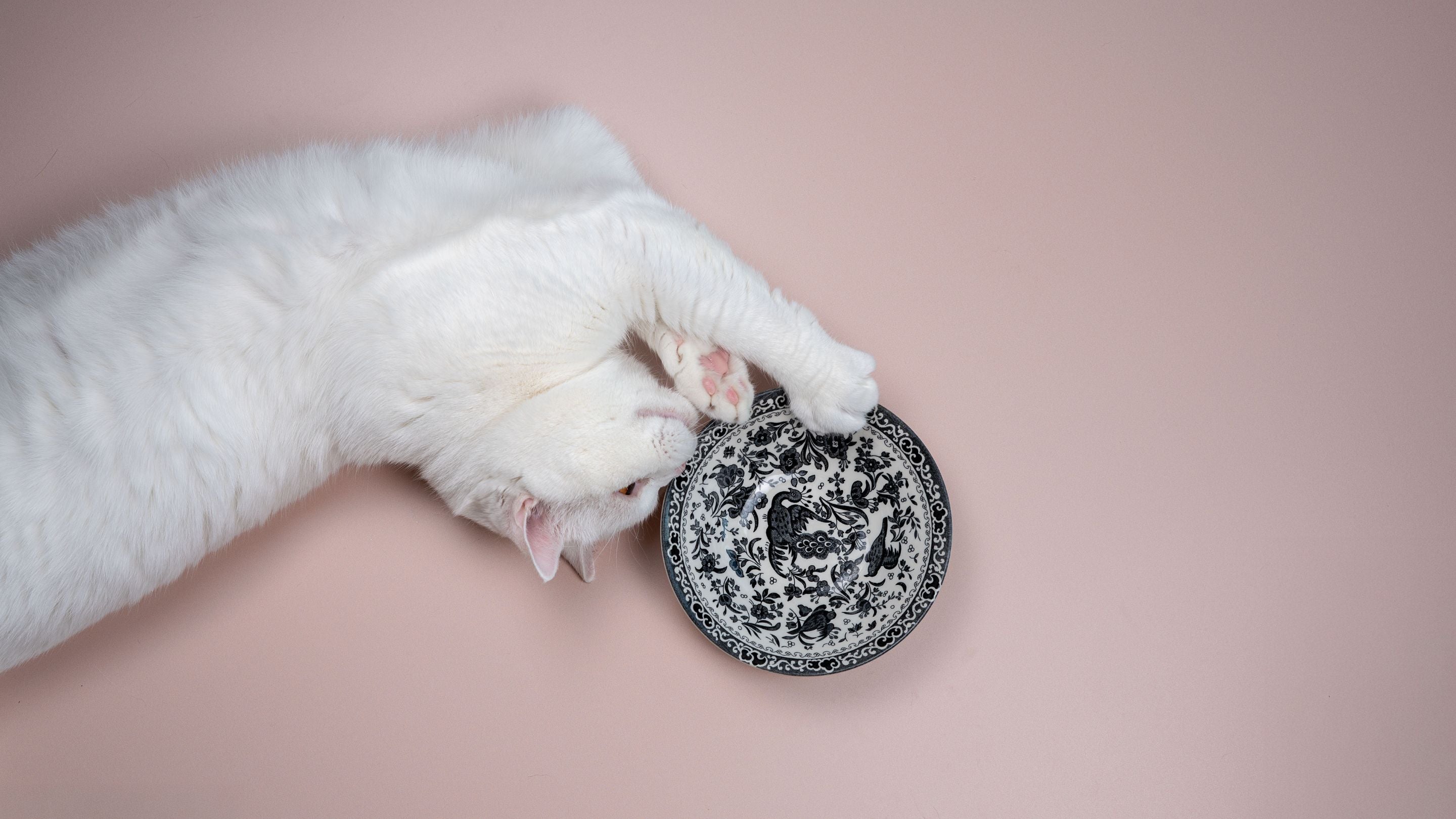 Burleigh at Cheshire & Wain