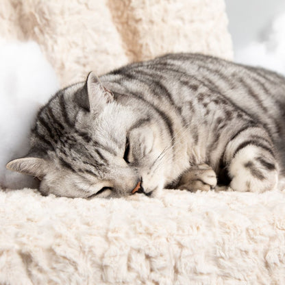 Cat Cloud® Bed - Shearling Cream