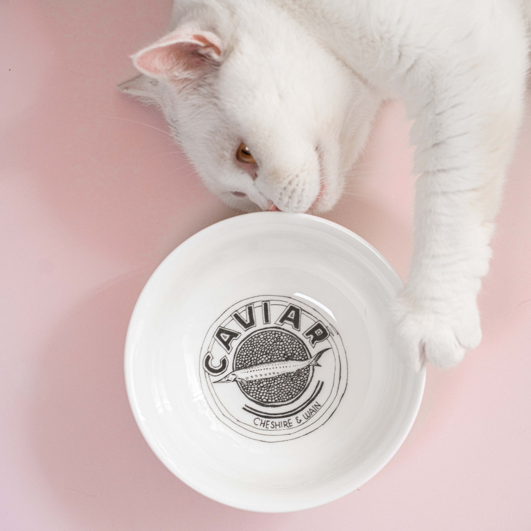 Caviar Illustration Cat Bowl