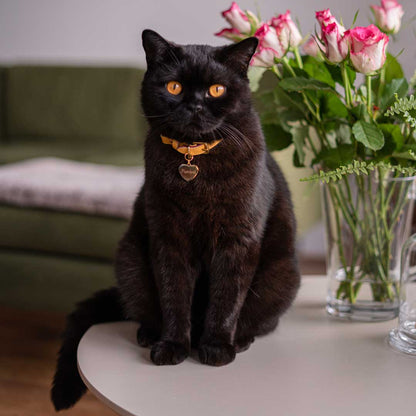 Cheshire Wain heart shape gold pet tag