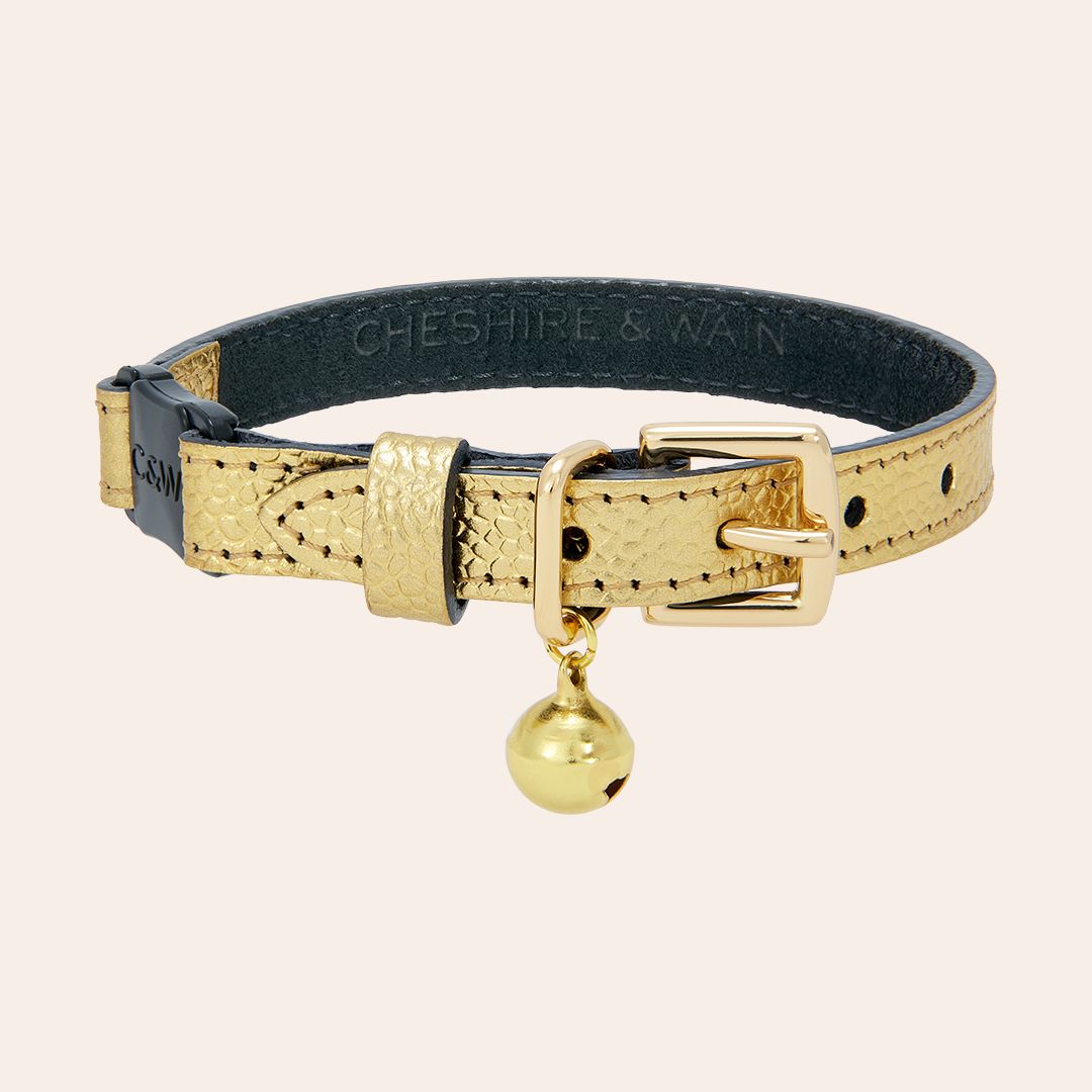 The 'Caspian' Caviar Cat Collar - Gold Label