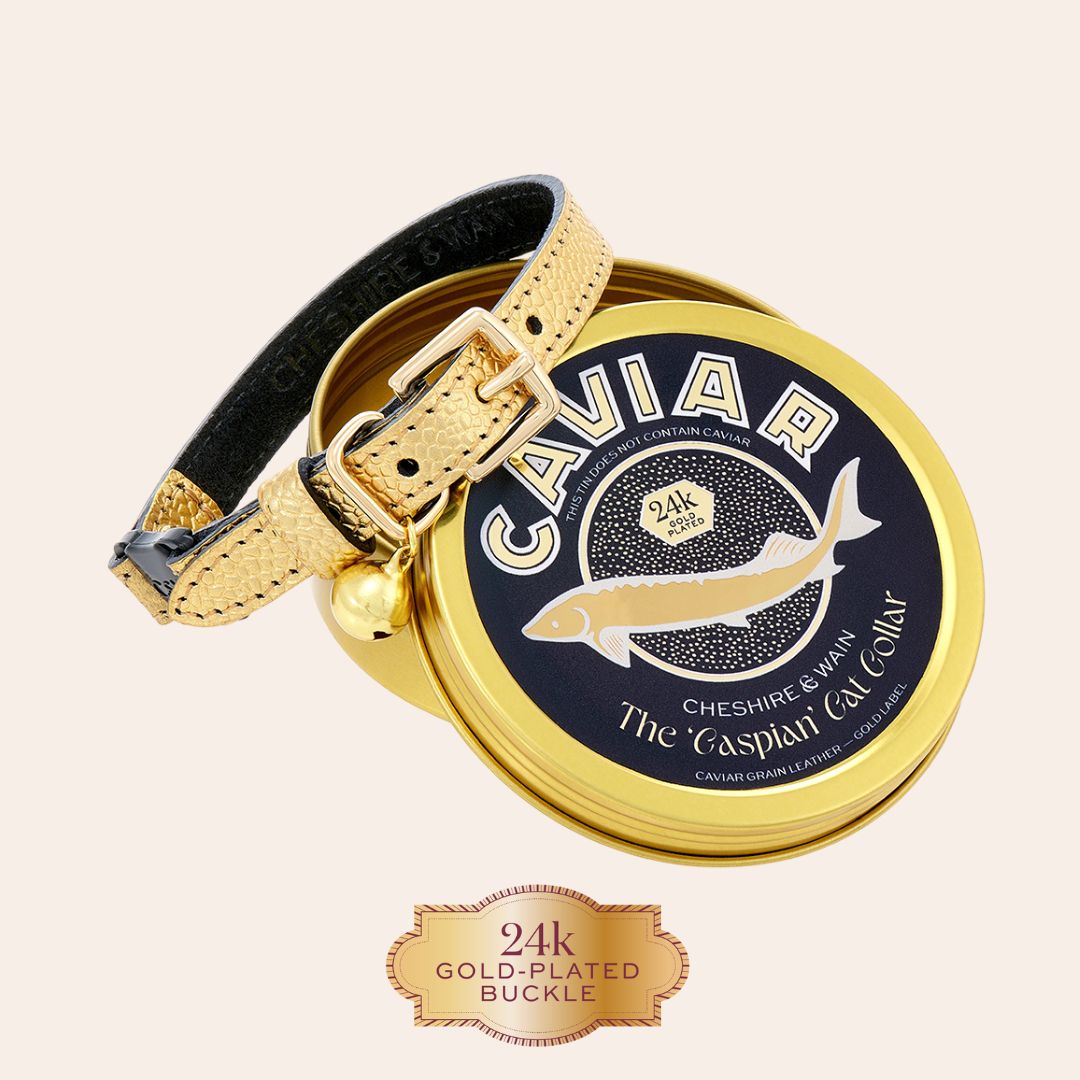 The 'Caspian' Caviar Cat Collar - Gold Label
