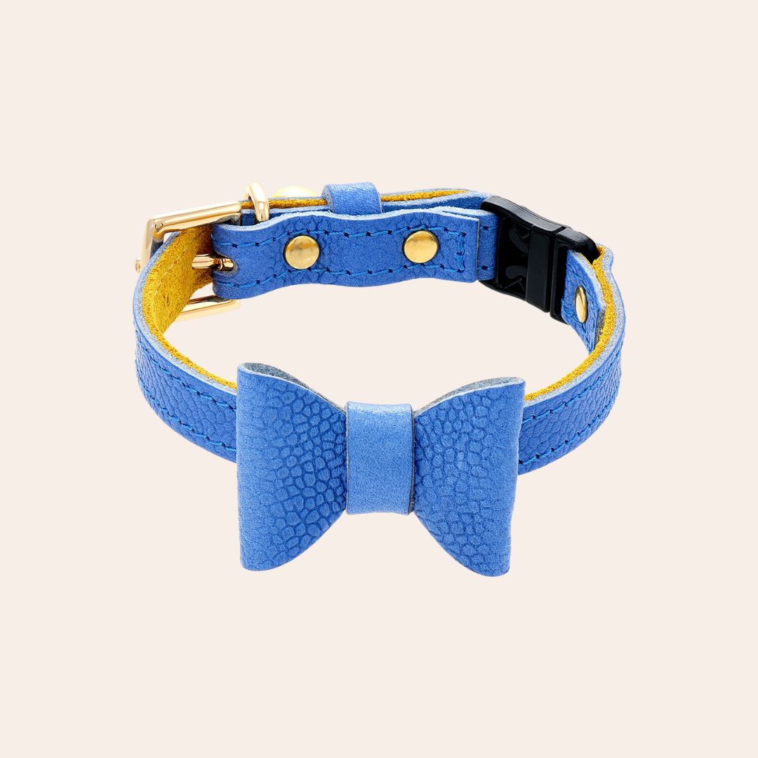 The 'Royal' Caviar Cat Collar - Gold Label