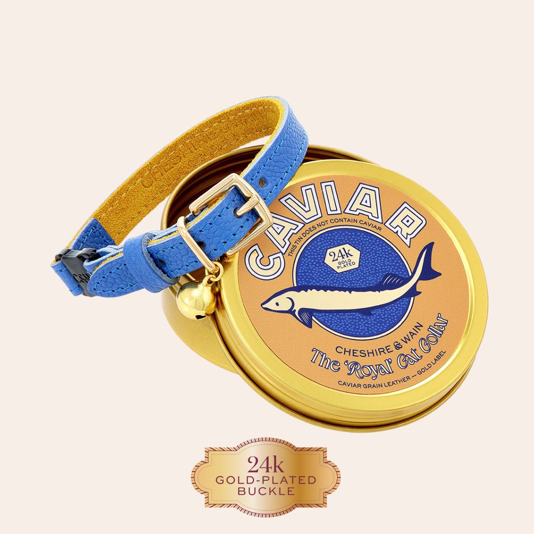 The 'Royal' Caviar Cat Collar - Gold Label