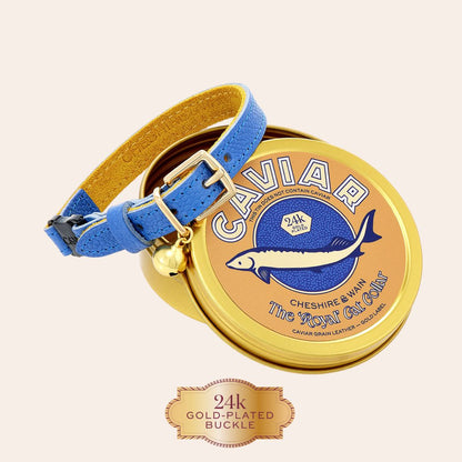 The 'Royal' Caviar Cat Collar - Gold Label