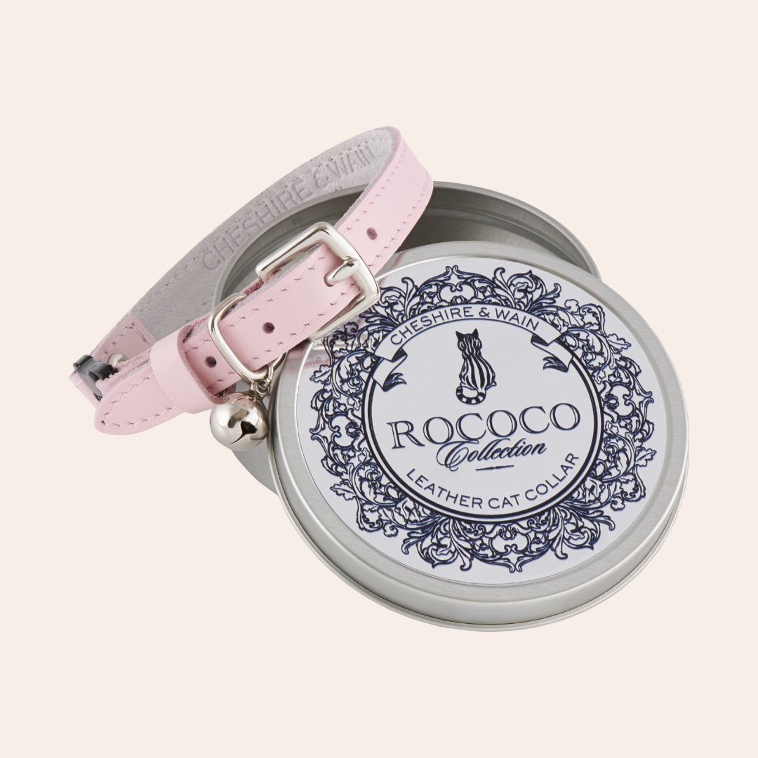 Petal Pink Rococo Leather Cat Collar