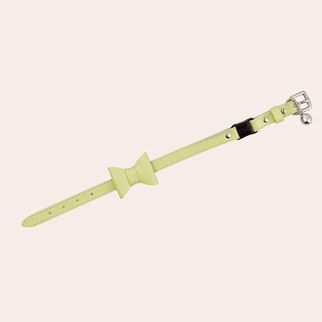 Pistachio Green Rococo Cat Collar