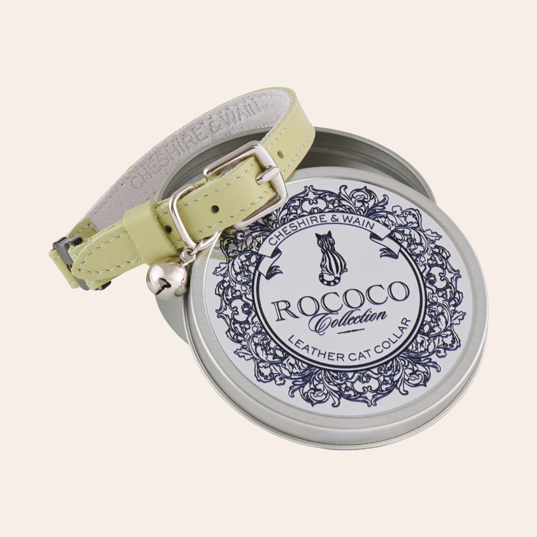 Pistachio Green Rococo Cat Collar