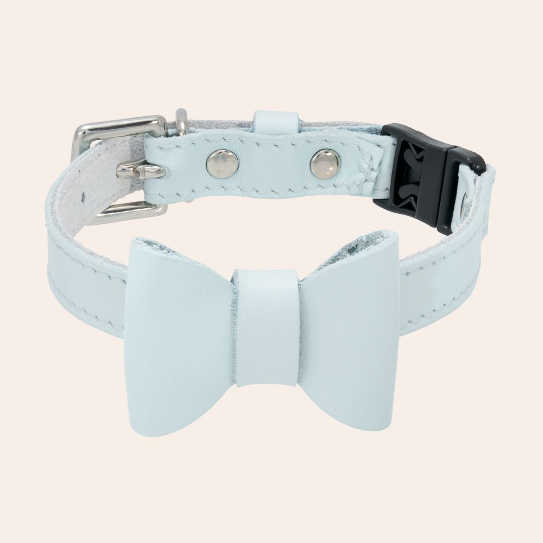 Powder Blue Rococo Leather Cat Collar