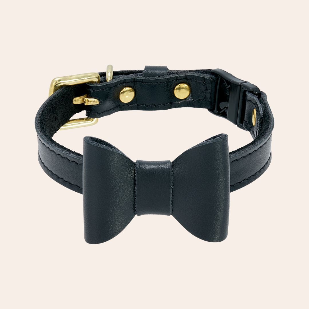 Wonderland - Jabberwocky Black Cat Collar