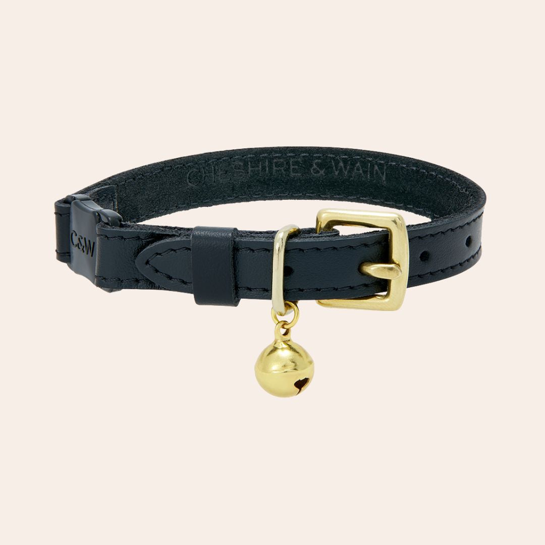 Wonderland - Jabberwocky Black Cat Collar