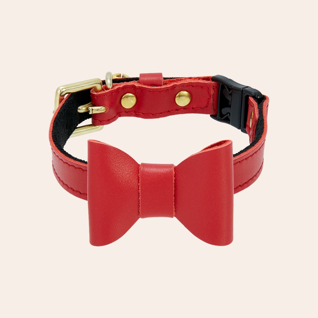 Wonderland - Jam Tart Red Cat Collar