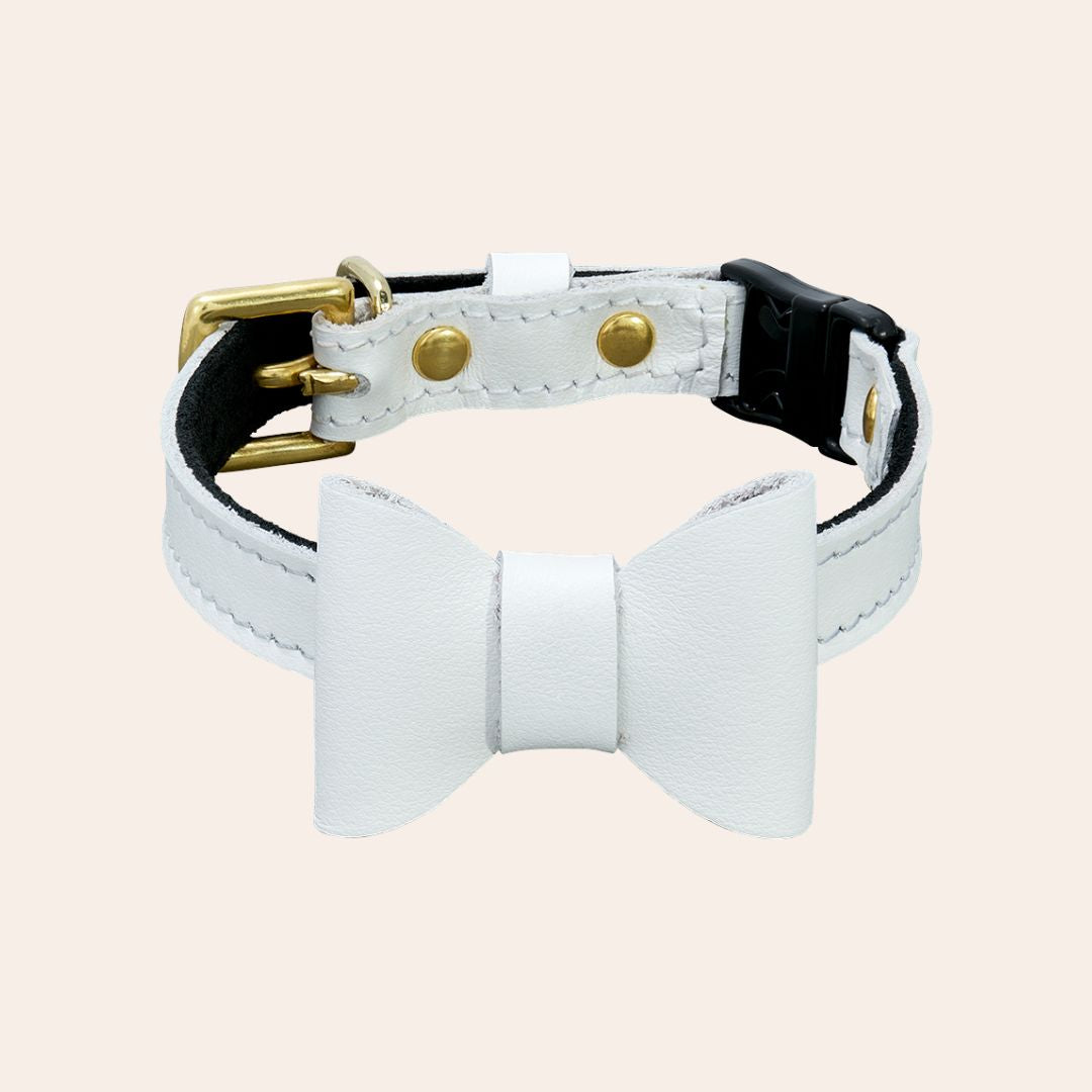 Wonderland - White Rabbit Cat Collar